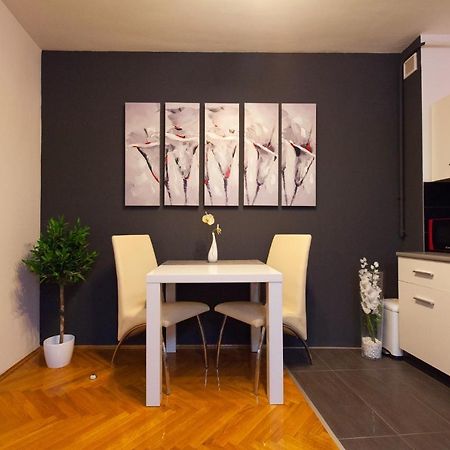 Apartman Aurelius - Private Parking Όσιγιεκ Εξωτερικό φωτογραφία